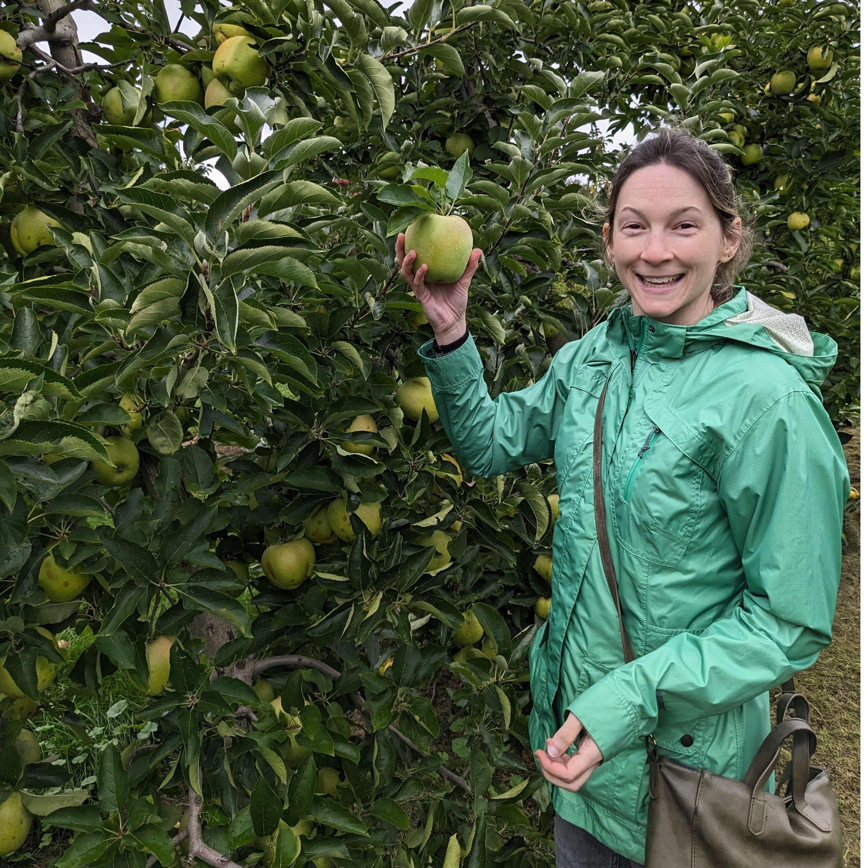 "Do you like apples?" "What?" "I said do you like apples?" "...yeah?"