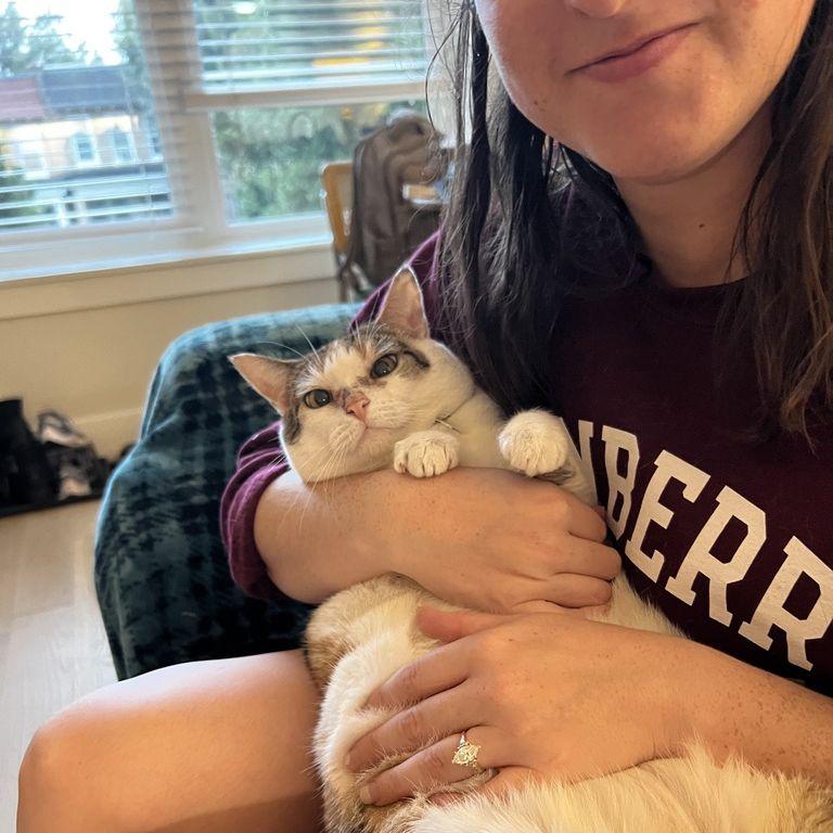 Abigail being an annoying cat mom to Ella