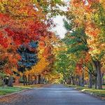 Hyde Park