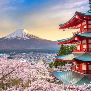 Japan Honeymoon Fund