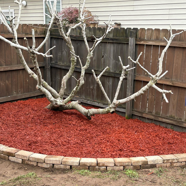 New Fence Fund