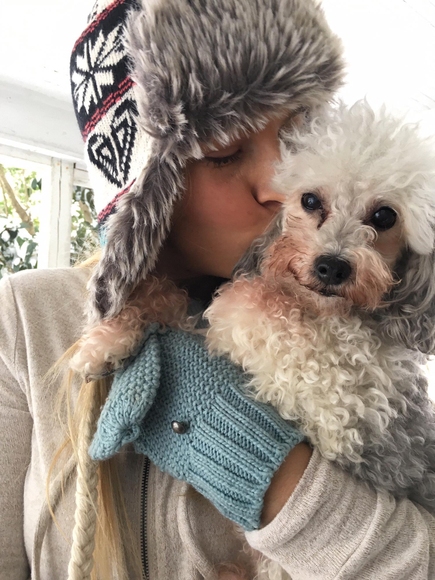 Our fluffy little Jorgie
