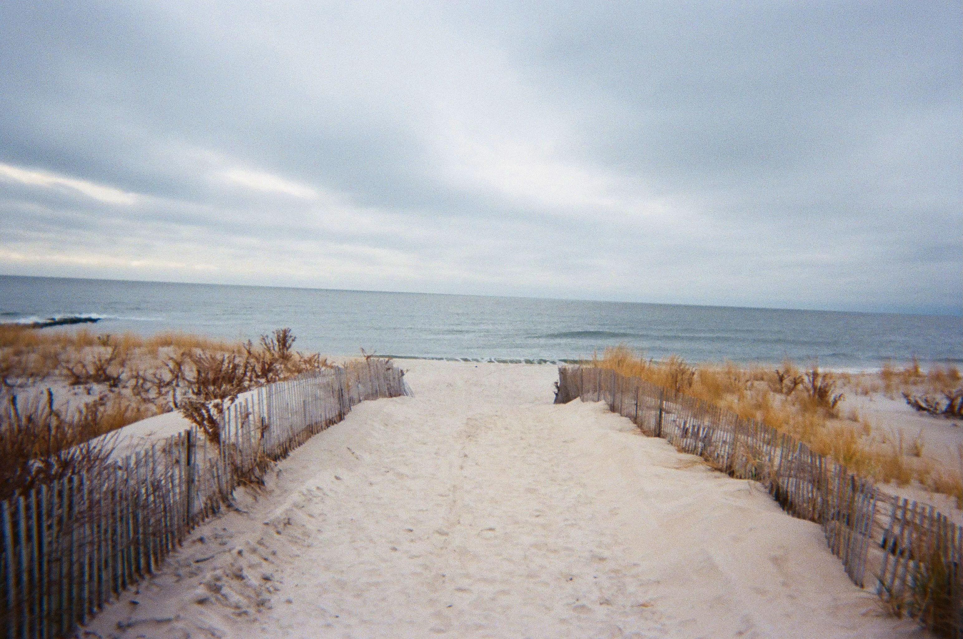 The Wedding Website of Lisa Langiulli and John Lovett