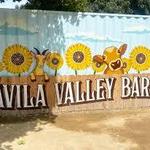 Avila Valley Barn
