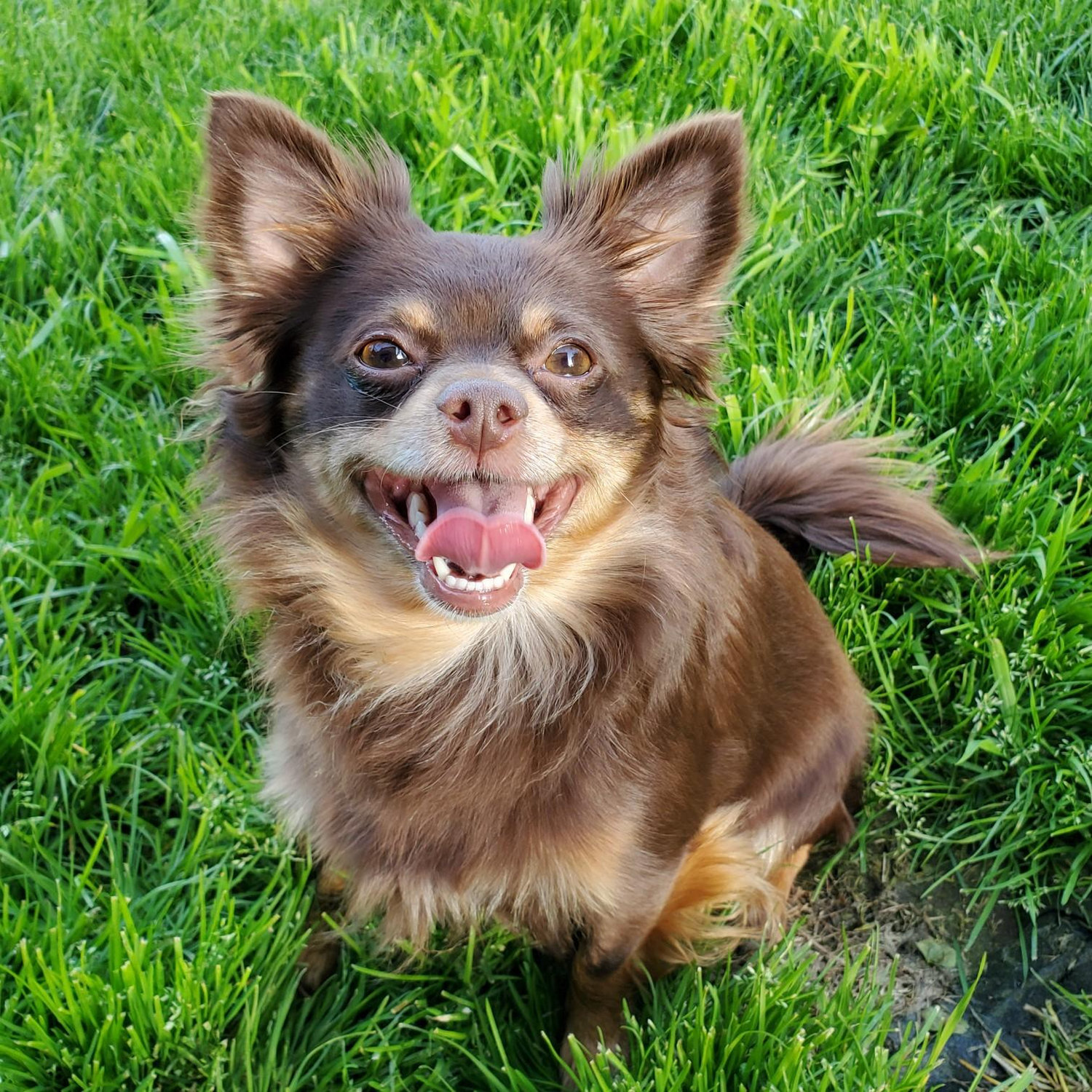 Zelda!!