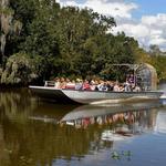 Jean Lafitte Swamp Tour