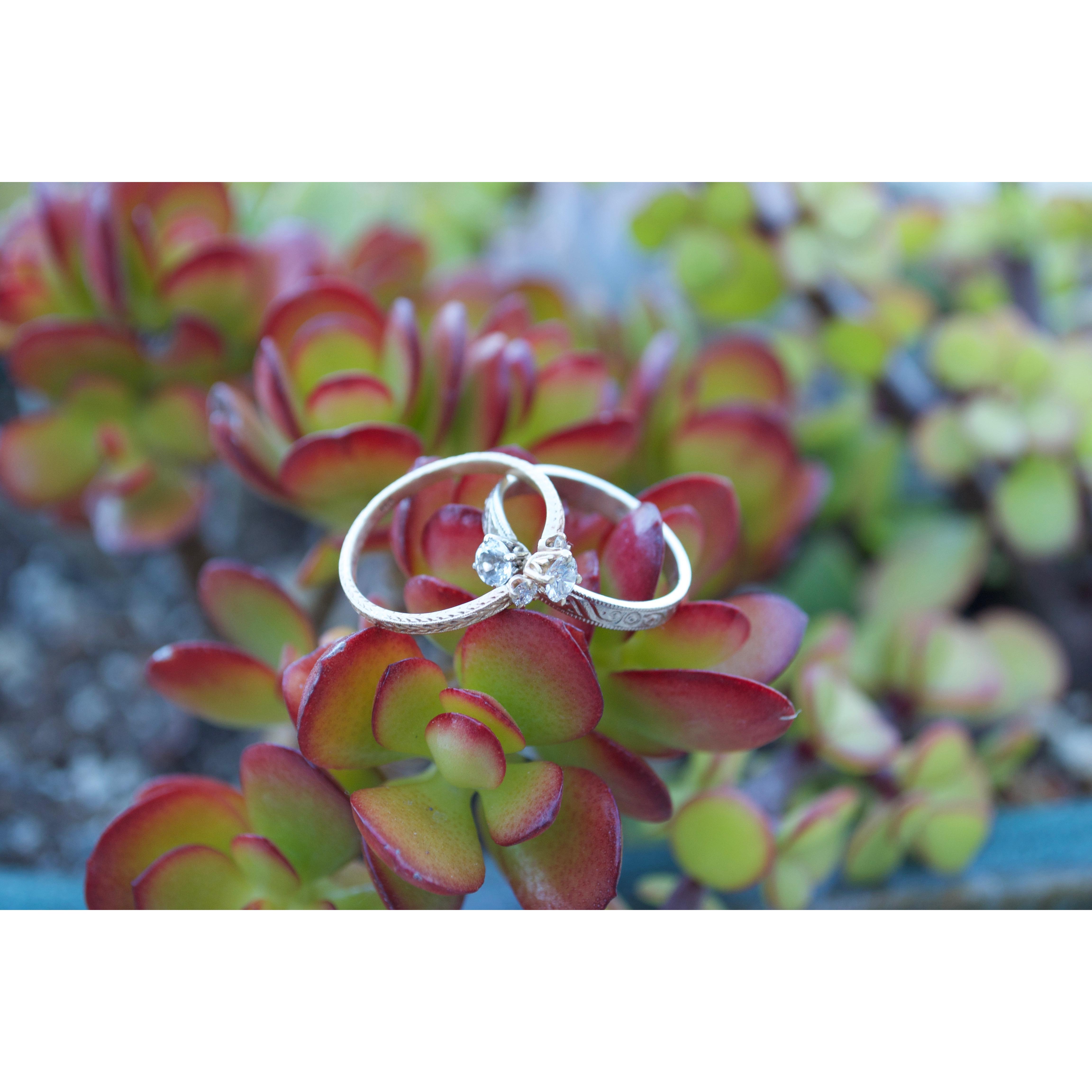 The Rings