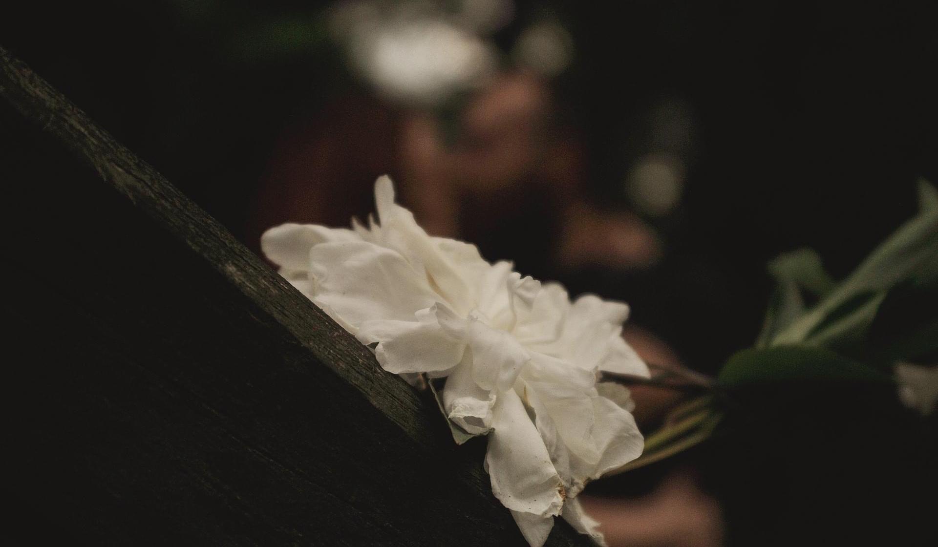 The Wedding Website of Brooke Bigi and Jordan Lowe