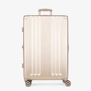 Checked Luggage