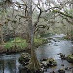 Hillsborough River State Park