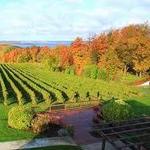 Wineries of Old Mission Peninsula