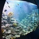 Florida Keys Eco-Discovery Center