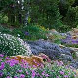 Betty Ford Alpine Gardens