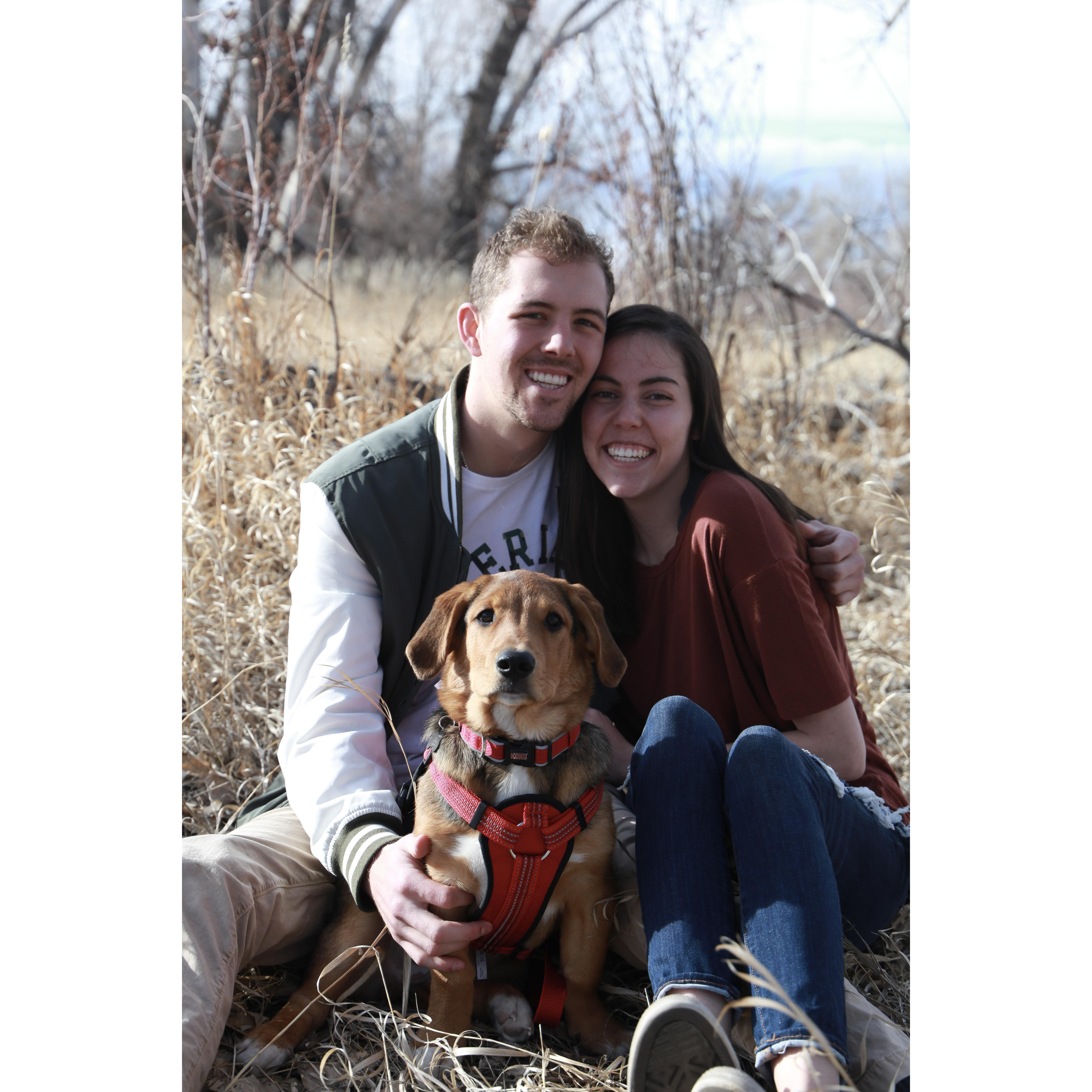 Reggie was added to our family, 2020.