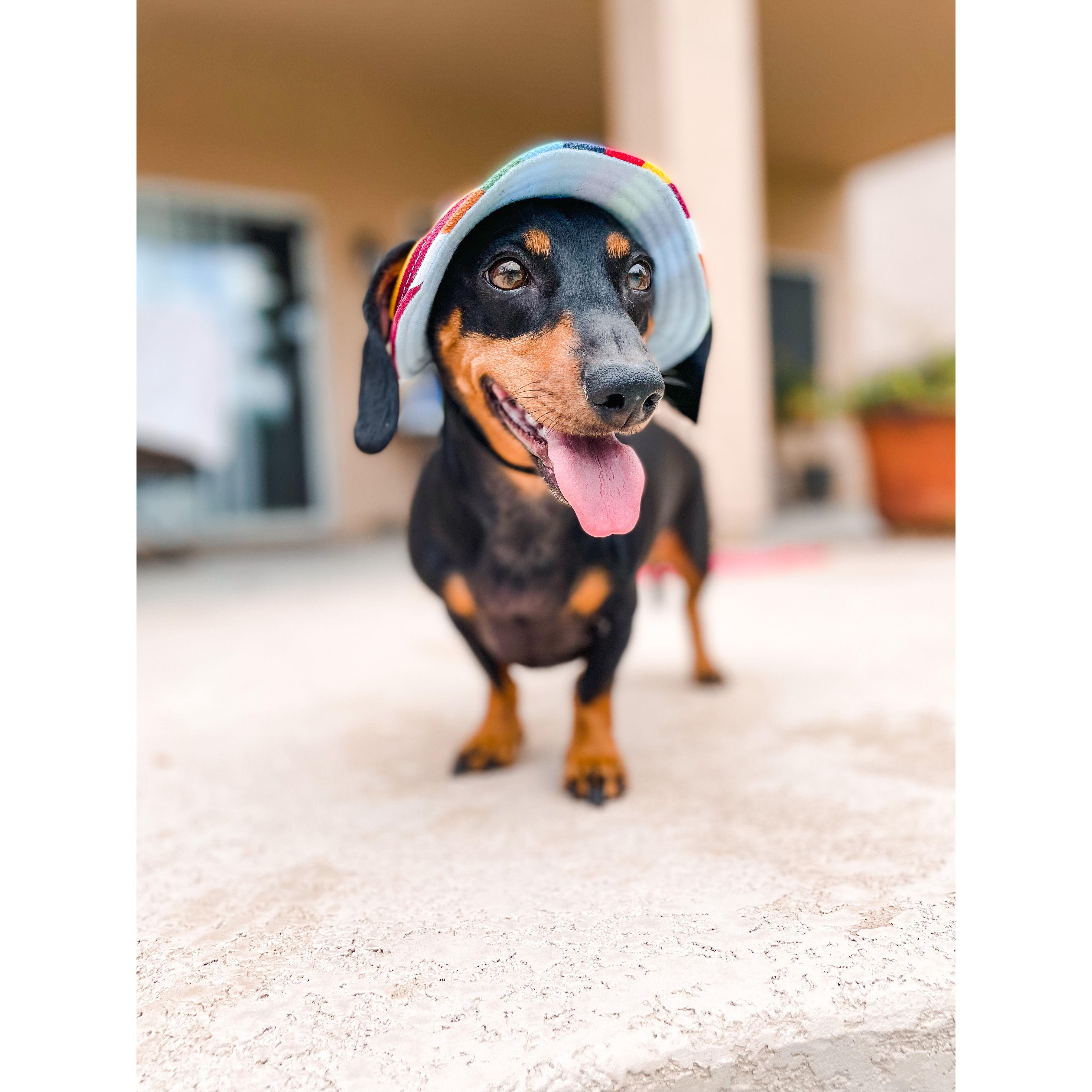Barley Scott