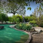 Little T’s Mini Golf & More