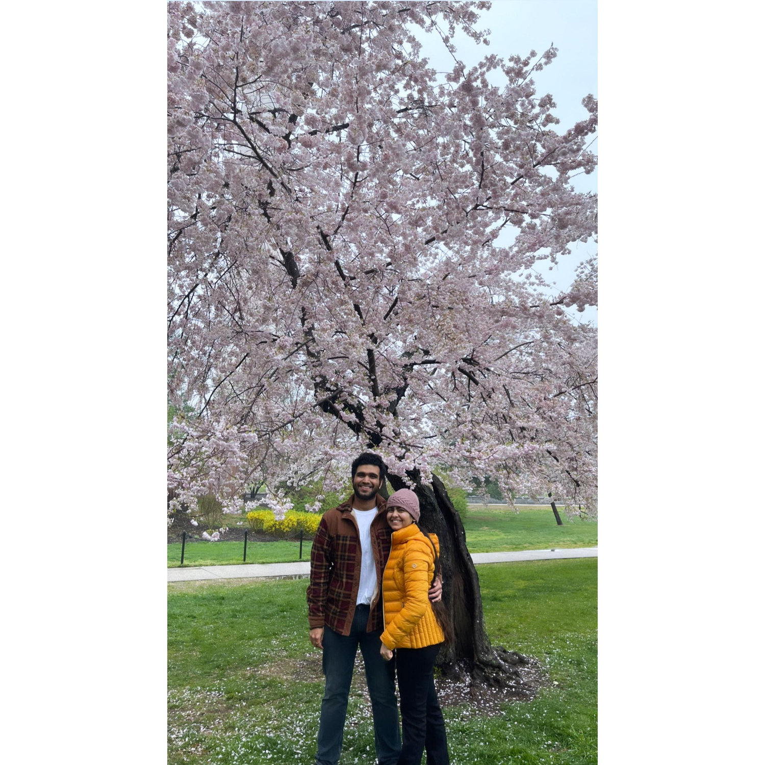Peak bloom and peak cuteness—coincidence? We think not. 😉🌸