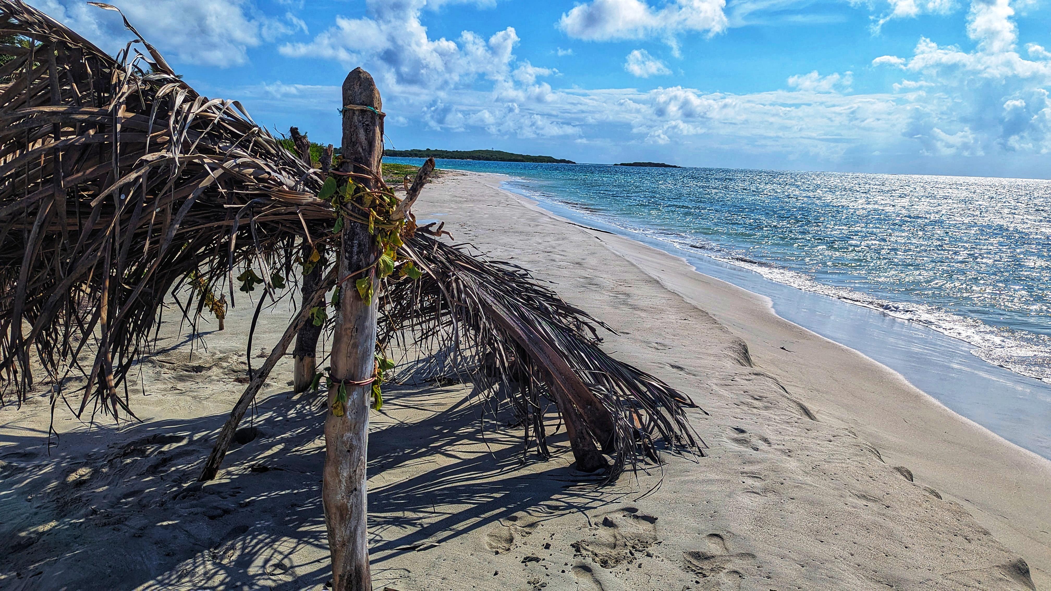 The Wedding Website of Claire Reynolds and Joshua Votaw