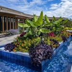 Waterfront Botanical Gardens