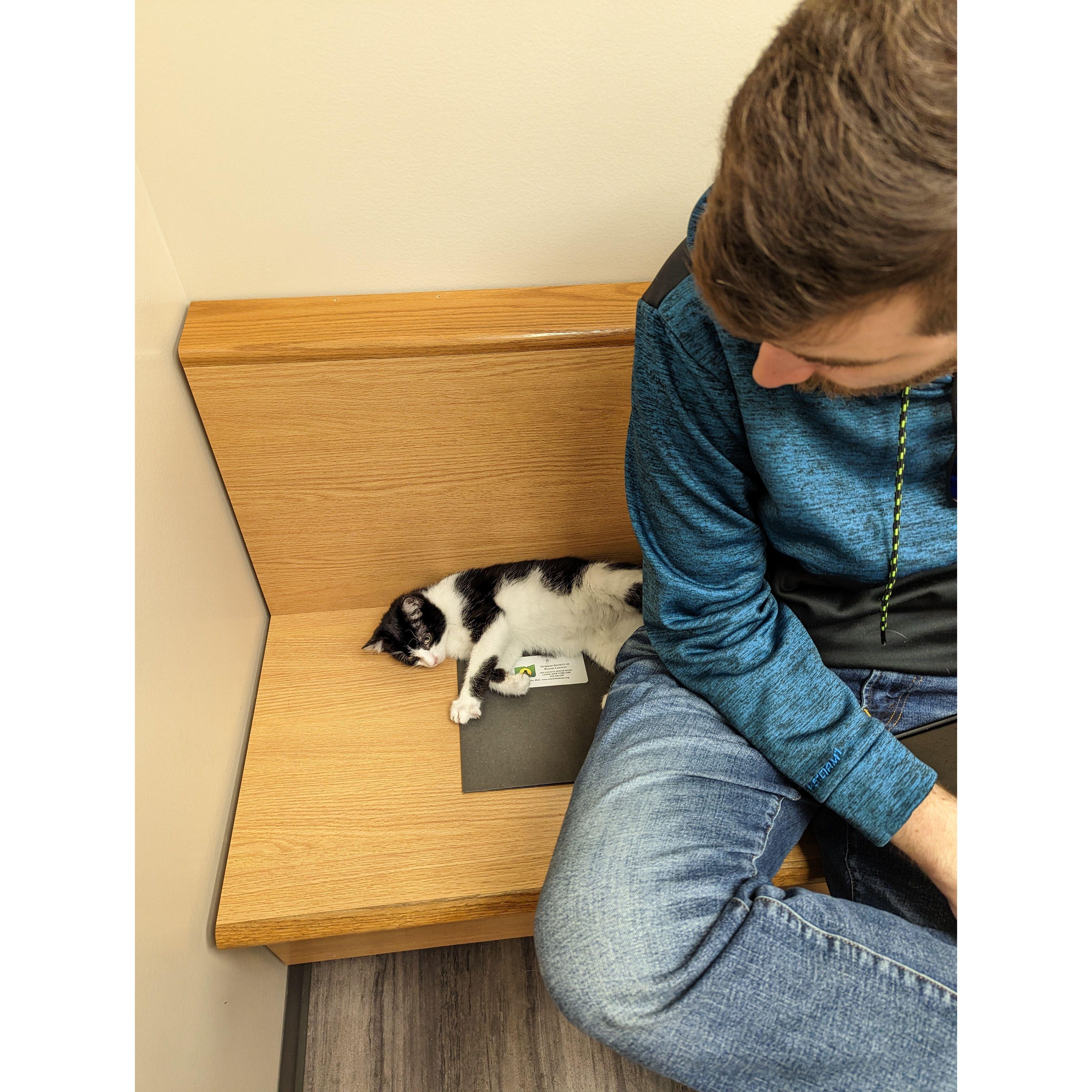 December 2022-Our family grew by one! We adopted Baron BartholoMEW (better known as Barty)