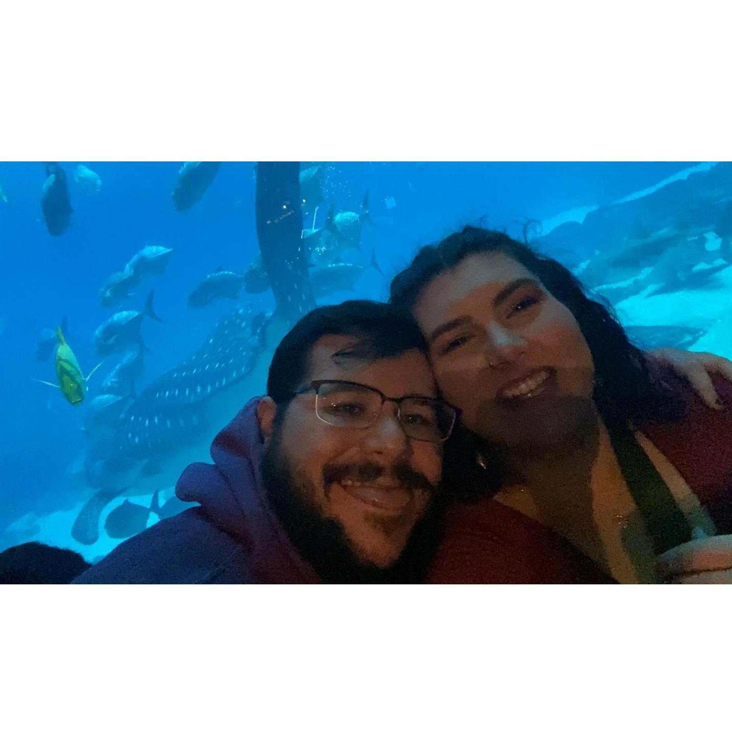 Obligatory whale shark selfie post-proposal! December 2024