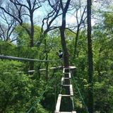 Go Ape Zipline and Adventure Park