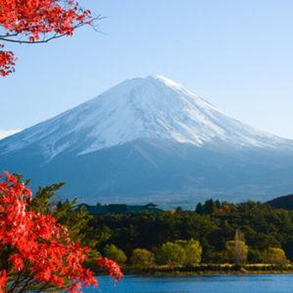 Excursión al Monte Fuji