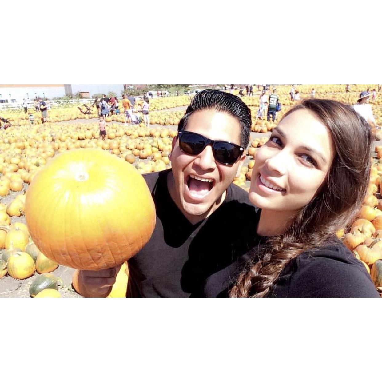 The Pumpkin King .