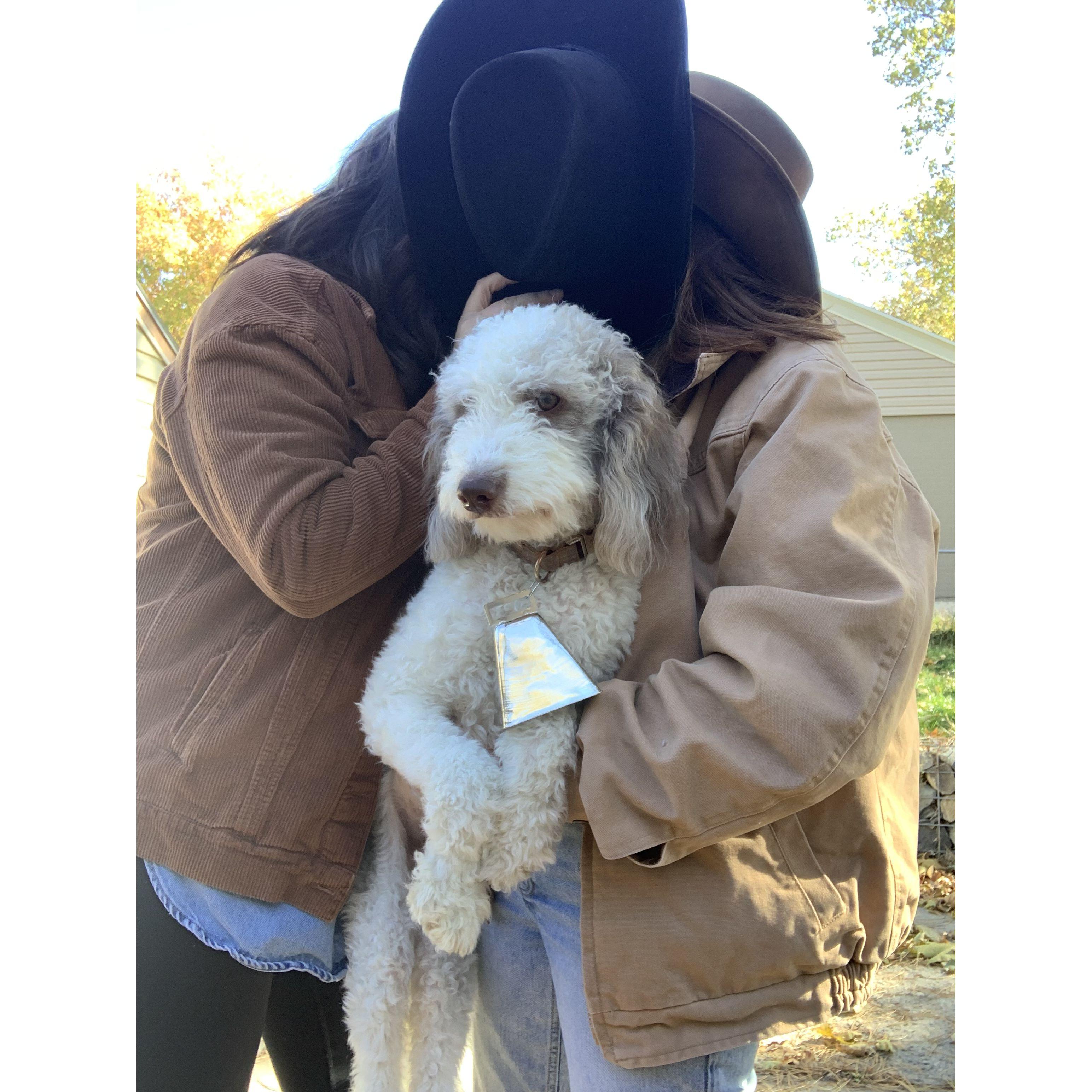 Our second Halloween costume: Brokeback Mountain and our cow!