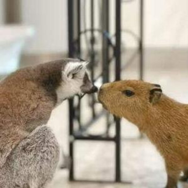 AniTouch Tokyo Petting Zoo