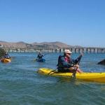 Surf, Body Board or Sea Kayak