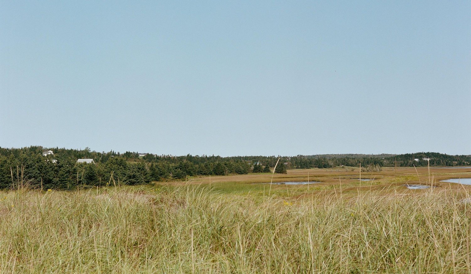 Footer image