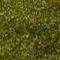 Moss Green