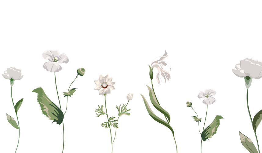 Footer image