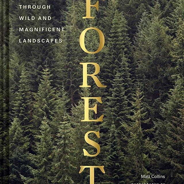 Forest: (Tree Photography Book, Nature and World Photo Book)