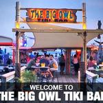 The Big Owl