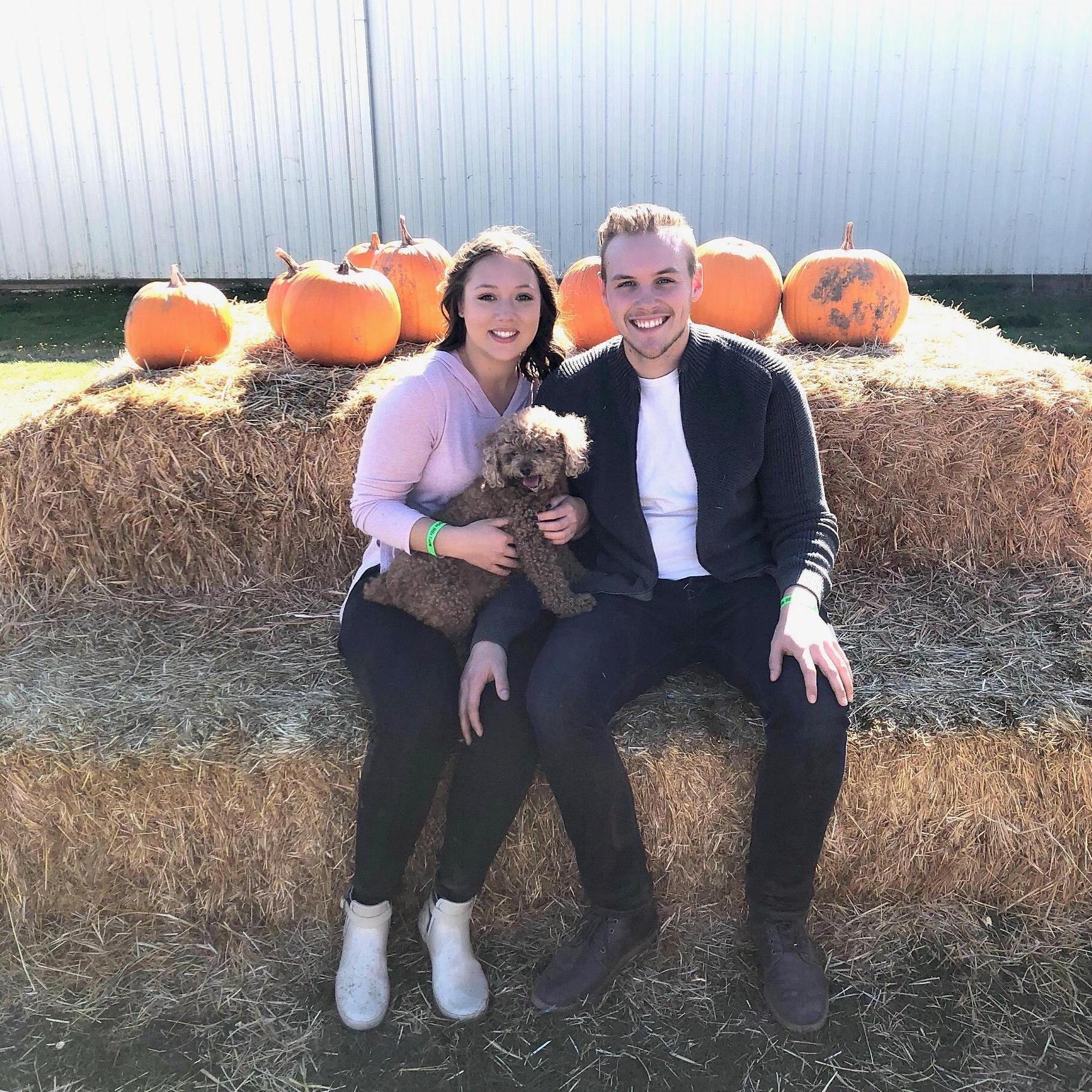Pumpkin Patch