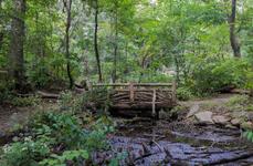 The Ramble and the Lake
