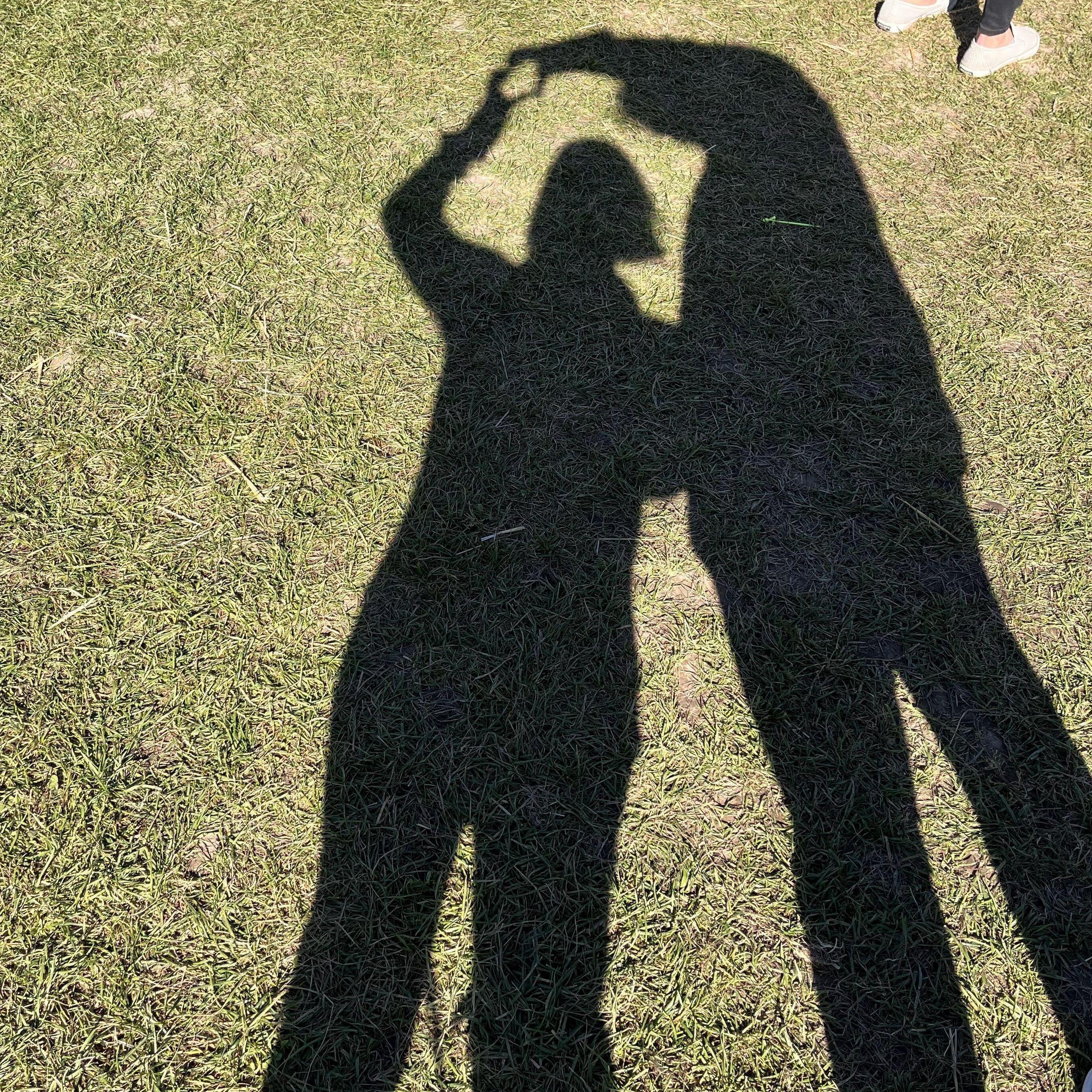 Da Pumpkin Patch, 2023.