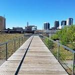 Railroad Park Foundation