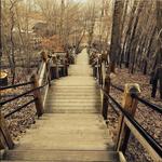 Mount Baldhead Park