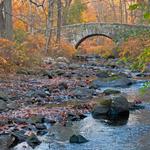 Rockefeller State Park Preserve