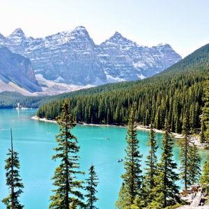 Our Honeymoon Fund