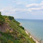Lion's Den Gorge Nature Preserve