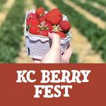 Fun Farm Pumpkin Patch