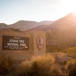 Joshua Tree National Park