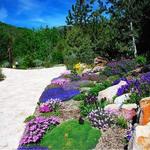 Betty Ford Alpine Gardens