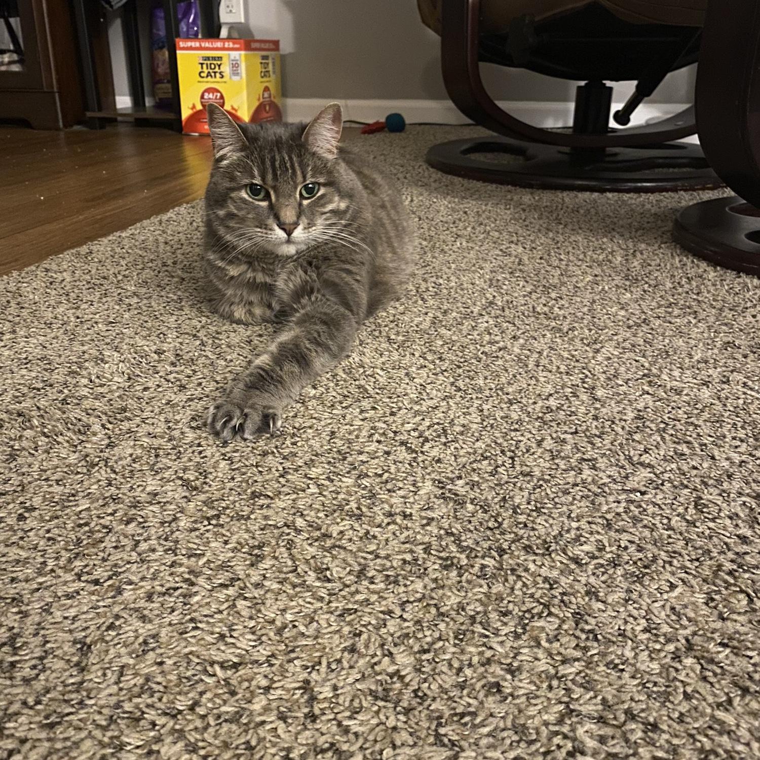 Our lovely Zoe baby
