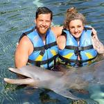Dolphin Discovery Riviera Maya