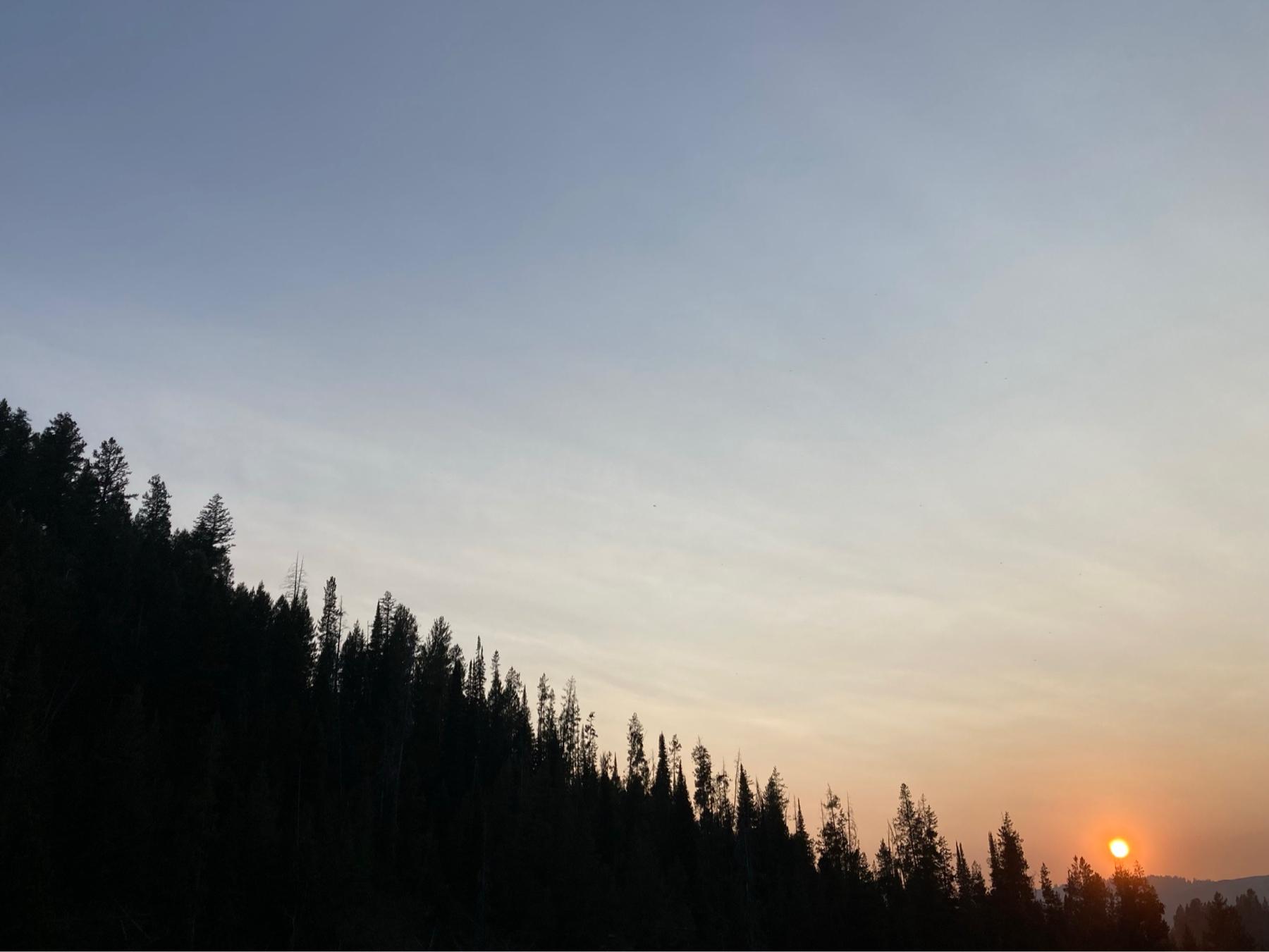 f19418ca-4e22-4203-98ee-669a898a2cc2